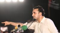 PPP to Exit Government Alliance if Indus Canal Project Proceeds, Bilawal Warns